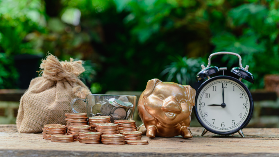 Grow Your Rental Income with a Holiday Home Management Company